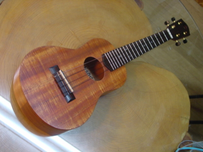 MASA UKULELE violin color model