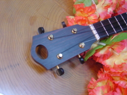 MASA UKULELE violin color model