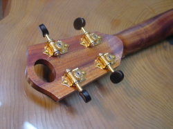 MASA UKULELE violin color model