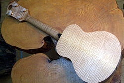 MASA UKULELE selmer model