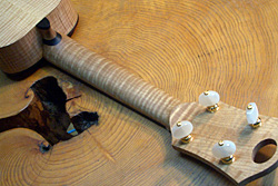 MASA UKULELE selmer model