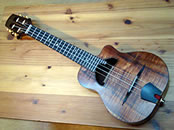 MASA UKULELE selmer model