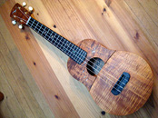 MASA UKULELE SEA GULL model