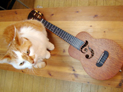 MASA UKULELE